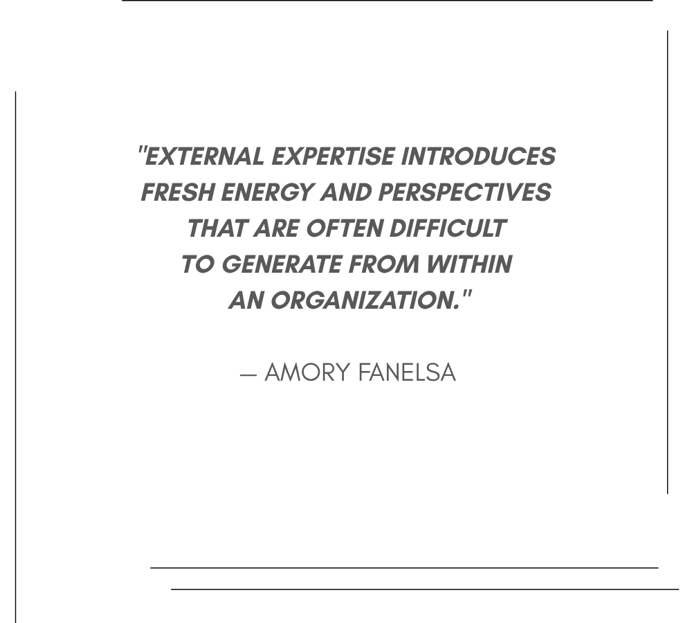"EXTERNAL EXPERTISE INTRODUCES FRESH ENERGY and PERSPECTIVES THAT ARE OFTEN DIFFICULT TO GENERATE FROM WITHIN AN ORGANIZATION." — Amory fanelsa